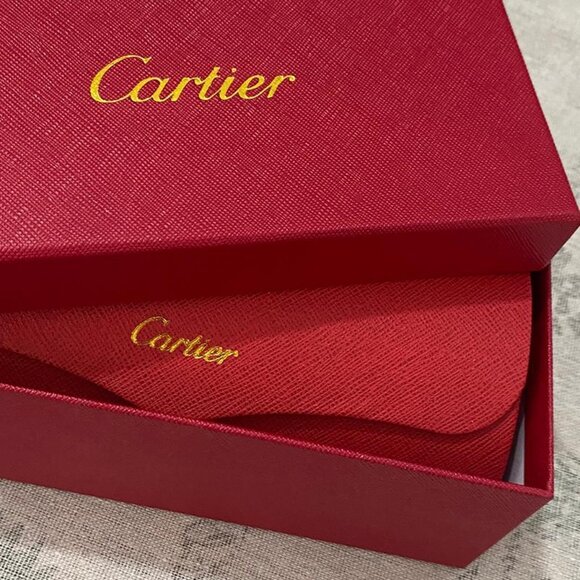 Cartier Sunglasses - Wooden Temples Decoration - Picture 11 of 11